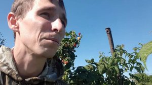 Лучшее средство от белокрылки
