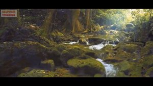 Молитва покаяния Ислам | Тауба намаз | Дуа о прощении грехов | Хадис о покаянии