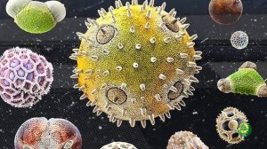 Москитная сетка - обзор полотен.