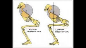 ПРИСЕДАНИЕ НА ОДНОЙ НОГЕ