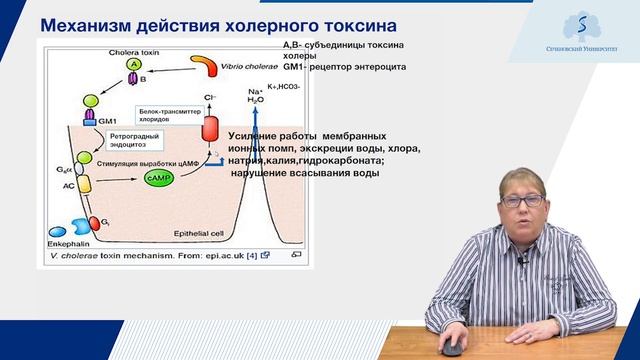 Острые кишечные инфекции. Часть 1 смотреть онлайн