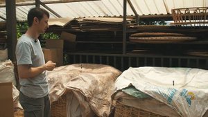 Ферментация ШУ ПУЭРА водуй. Часть 2.  СЯО ФА ЦЗЯО, ферментация в корзине. Podarkivostoka