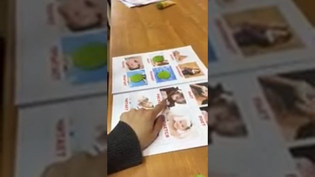 Моторная алалия. Глаголы. Введение в речь. смотреть онлайн