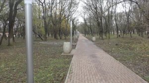 Керчь, море, птицы,белки 14.12.23