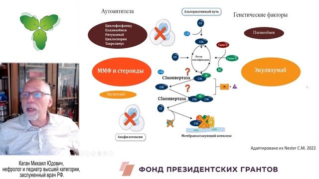 Современные представления о C3-гломерулопатии у детей смотреть онлайн