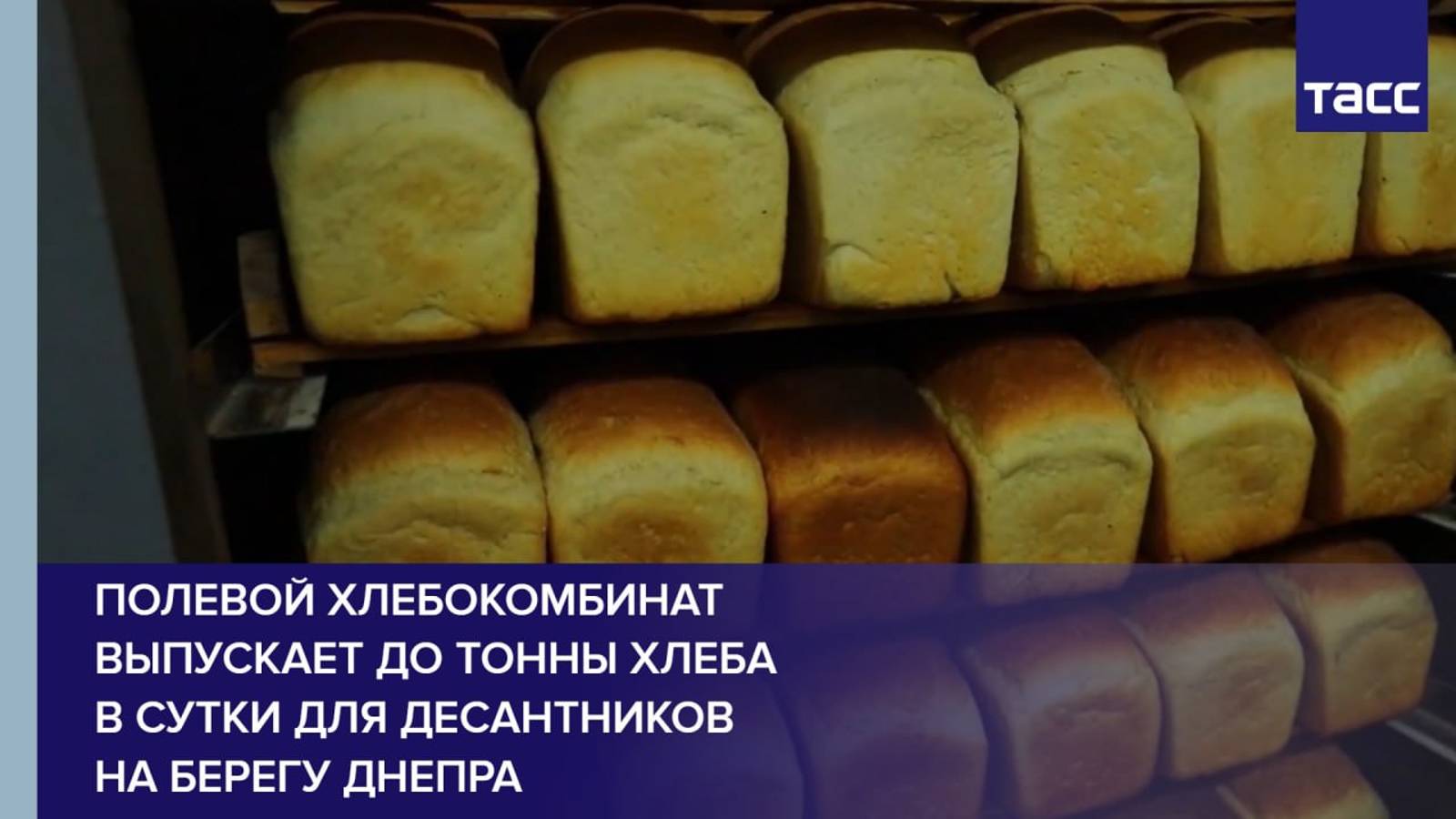 Полевой хлебокомбинат выпускает до тонны хлеба в сутки для десантников на берегу Днепра
