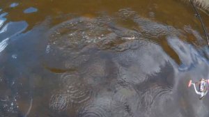 Река Чусовая Верхняя Ослянка 17.08.2017