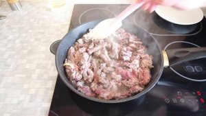 Лосятина по-строгановски – рецепт как приготовить бефстроганов из лосятины со сметаной и помидорами