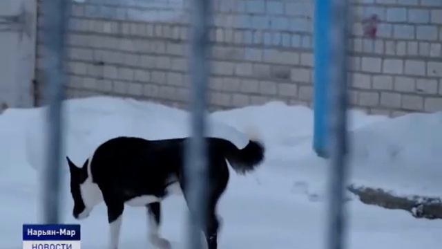 СВОБОДА ПРОТИВ ВОЛИ смотреть онлайн