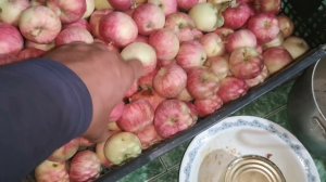 Обзор моего сада и огорода - Что растёт