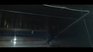 Камера дефростации (дефростер) для мяса и мясопродуктов. Подходит и для рыбы, масла, птицы