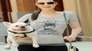 Имена для французских бульдогов: как назвать девочку и мальчика