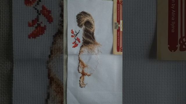 ЗАДУМЧИВЫЙ КОТ. ЗОЛОТОЕ РУНО.