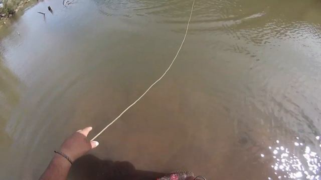 DE PESCA EN LA GOLONDRINA смотреть онлайн