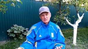 Лечение и профилактика болезней у голубей. Часть 2. Ответы на вопросы