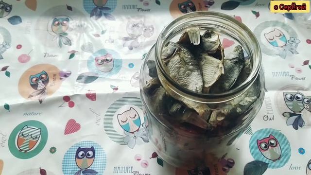 Как хранить сушеную рыбу в БАНКЕ. Как хранить вяленую рыбу на зиму.
