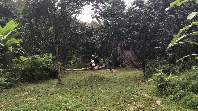 Как нас спас Игорь 😱 смотреть онлайн