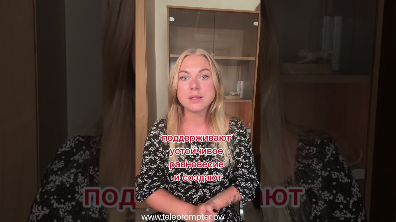 8 июля 2024 г.