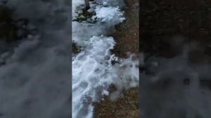 Нужно ли сливать воду с бака бочек перед морозами перед зимой осенью