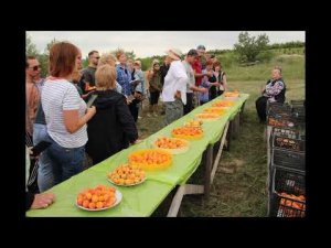 семинар по абрикосу 2023 1 группа