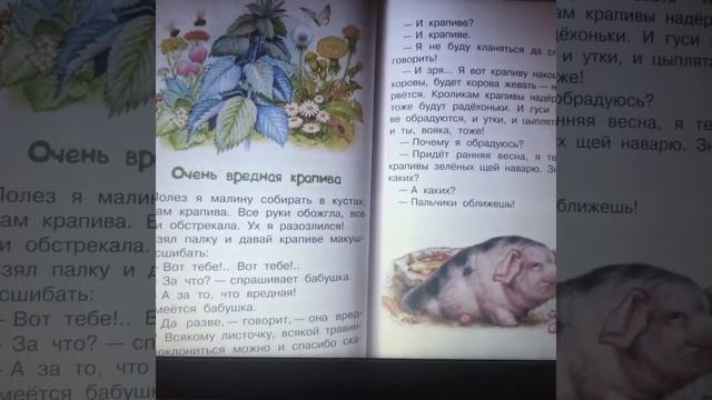 Развитие речи Старшая группа смотреть онлайн