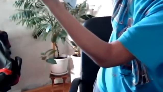 о том, как незрячие пишут, читают и передвигаются