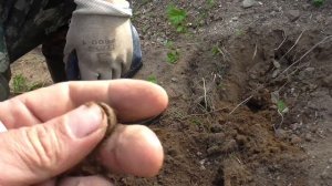 Коп. Маленько покопали. Экскурсия по старинному городу с Уральским скифом.