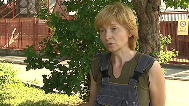 Сюжет Животные зоопарка в жару смотреть онлайн