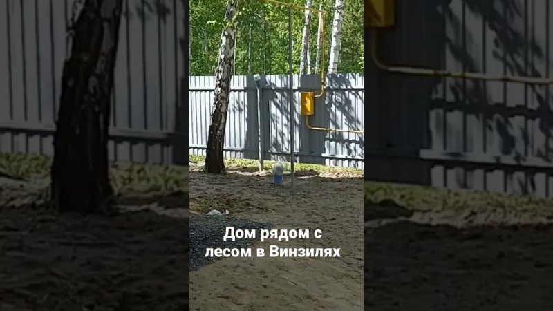 Новый дом с ремонтом рядом с лесом в Винзилях.