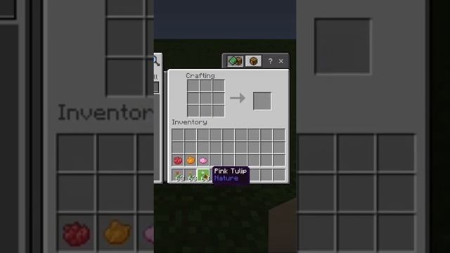 Does white  light gray?  Minecraft logic 8 shorts