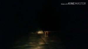 Ночью на снегоходе. *Интересная жизнь хаски блюз