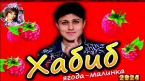 ХАБИБ.ЯГОДА-МАЛИНКА.2024