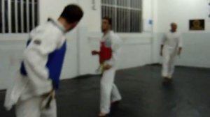 ícaro de Campos (tkd)