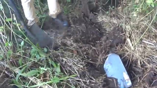 СЮРПРИЗ! КУШ ПОД ДЕРЕВОМ! СРАЗУ НА ПОЛ МАШИНЫ! МЕДЬ, ЗАПЧАСТИ! СБРОС ЭЛЕКТРИКА! ЭТО ЛУЧШЕ БОЛГАРКИ! смотреть онлайн