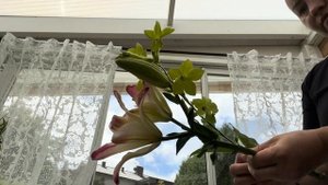 Букет из лилий и георгин