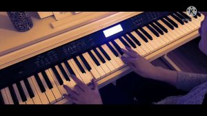 Как играть Песня про зайцев на пианино 🎹 Разбор.Правая и левая рука,медленно!Для начинающих