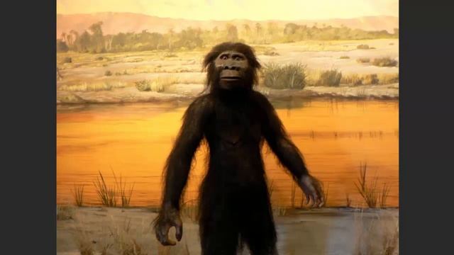 Сударикова Е. Эволюция Руки и Пальцев у Приматов! смотреть онлайн