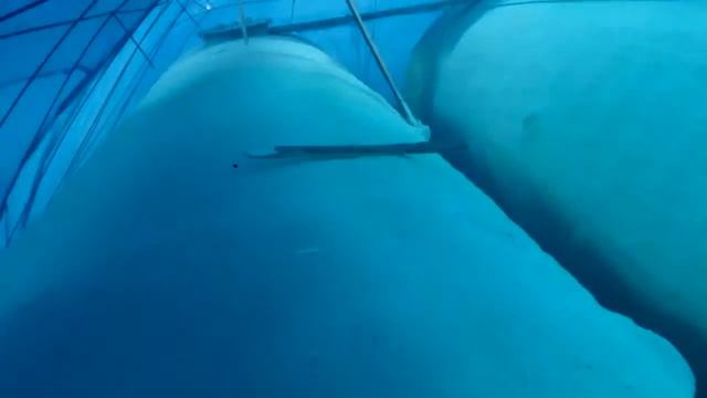 Пеним объект ППУ. Зима богучанский район смотреть онлайн