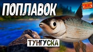 РР4/ рыбалка для души, ловим как универсал, общаемся 25.01.24