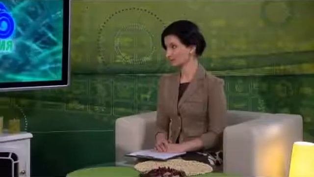 Обезьяна дома: заводить или нет?