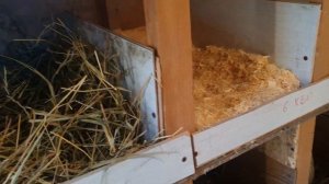 Гнездо для кур несушек