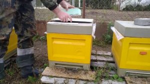 Улей "Медведь" - что это такое?