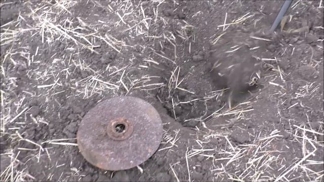 Молотки лезли из земли один за одним! смотреть онлайн