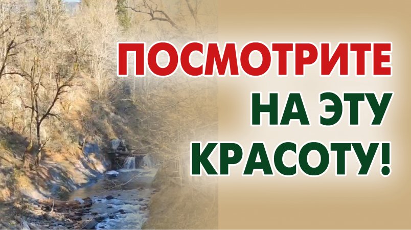 Поздняя осень в Кавказском государственном природном биосферном заповеднике