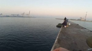 Вода в море кипит! Сарганье эльдорадо! Как ловить саргана на бомбарду. Рыбалка на Черном море.