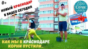 Прикубанский округ➤как застраивается Краснодар сегодня ✔ЖК Мечта ➤Как посадить дерево ?Просочились