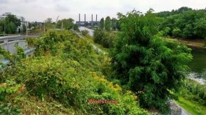 Aller-Radweg - Radtour in Deutschland von Verden nach Magdeburg