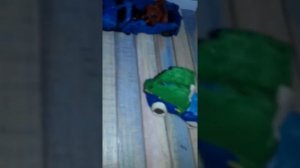 машины из пластилина часть 2