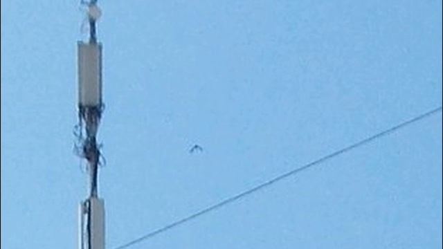 Дракон над Москвой. Драконы живы! Шок контент! смотреть онлайн