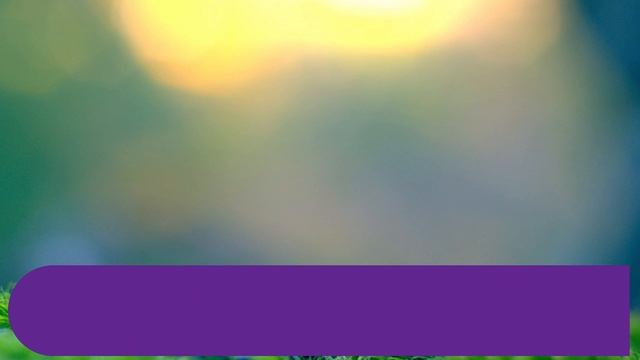 Приметы на сон с 9 на 10 октября 2019 года смотреть онлайн